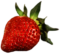 Nutrition - Strawberry